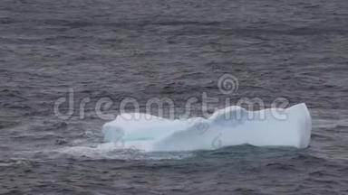冰山漂浮在格陵兰岛的沿海岛屿斯库登根峡湾。